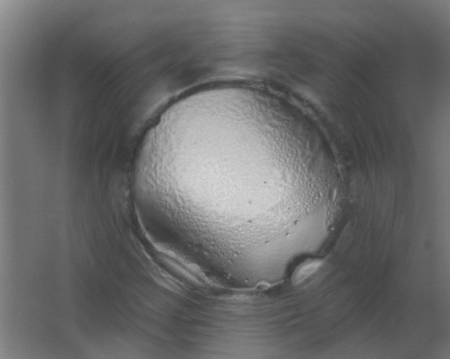 X0000063451355200602031757