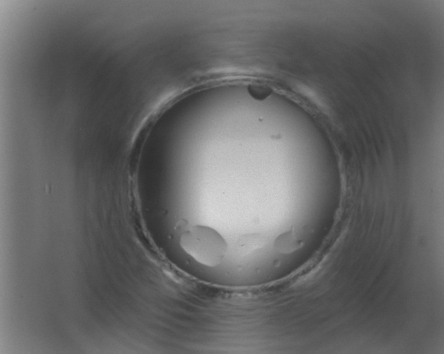 X0000063451357200602031757