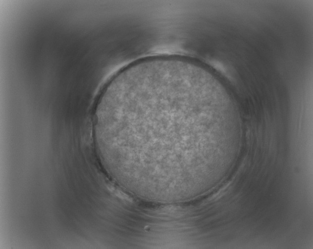 X0000063451358200602031757