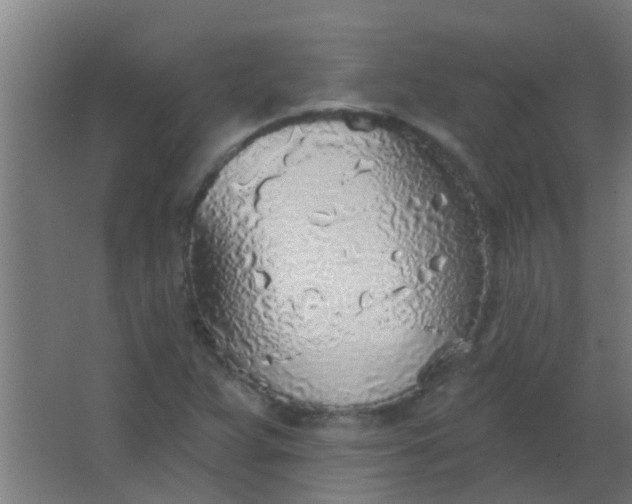 X0000063451359200602031757