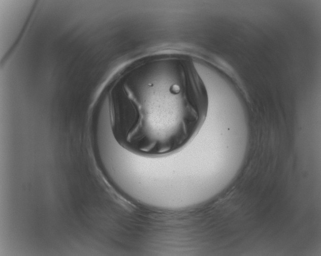 X0000063451368200602031757