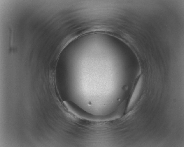 X0000063451369200602031757