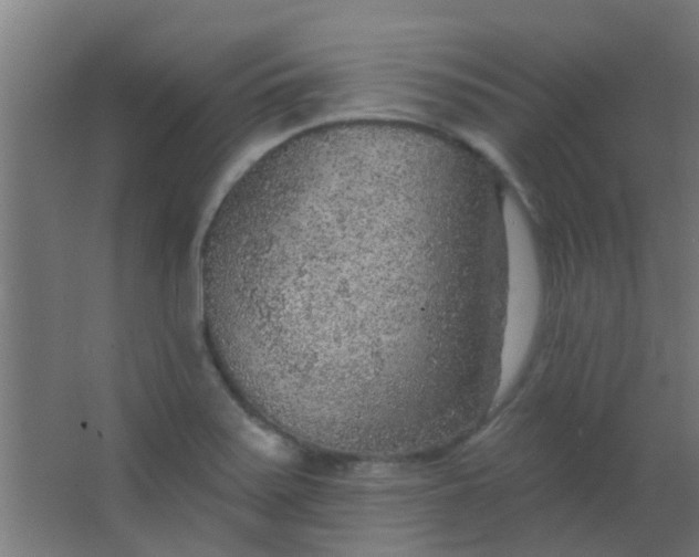 X0000063451371200602031757