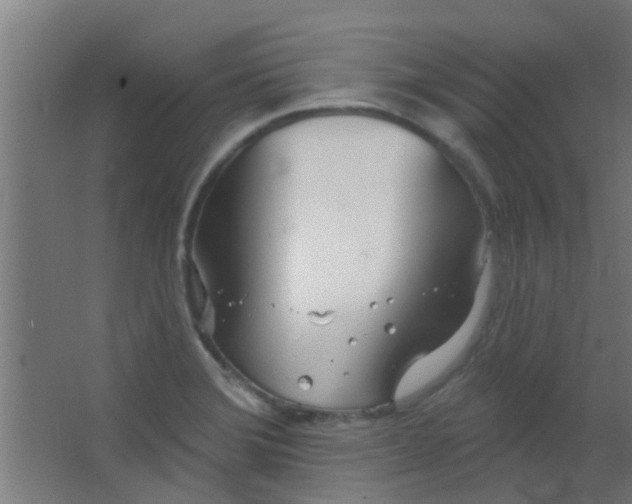 X0000063451372200602031757