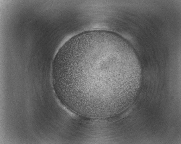 X0000063451374200602031757