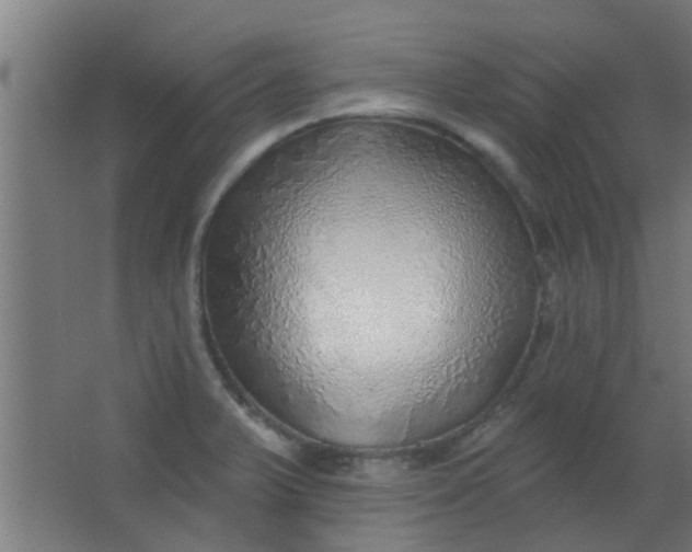 X0000063451375200602031757