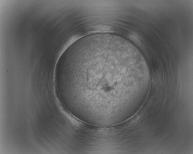 X0000063451378200602031757