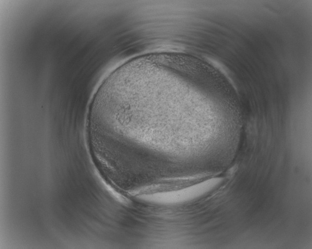 X0000063451379200602031757