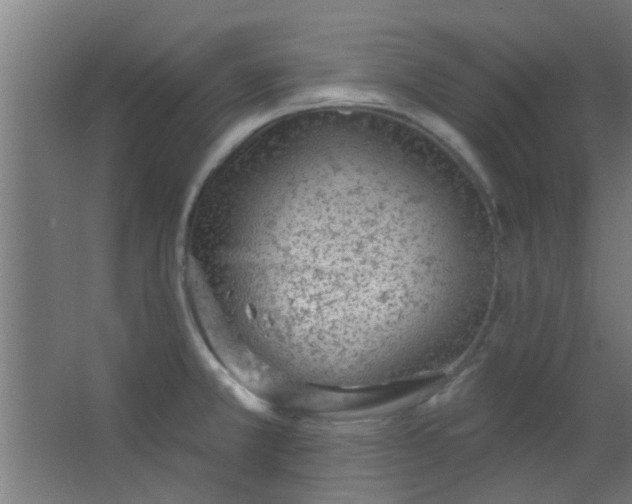 X0000063451381200602031757