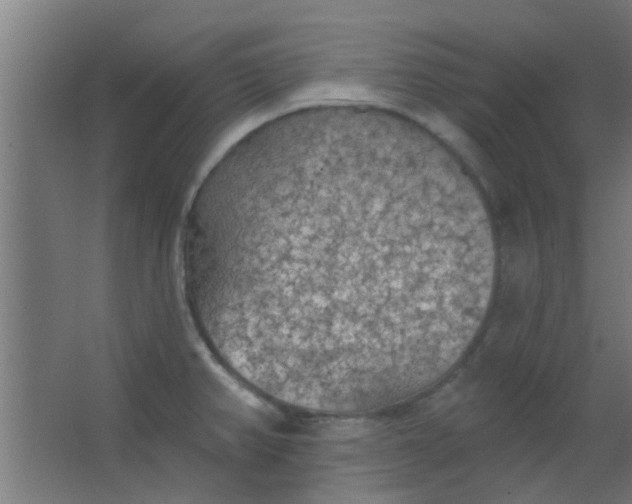 X0000063451382200602031757