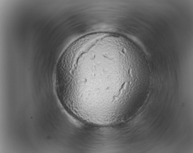 X0000063451383200602031757