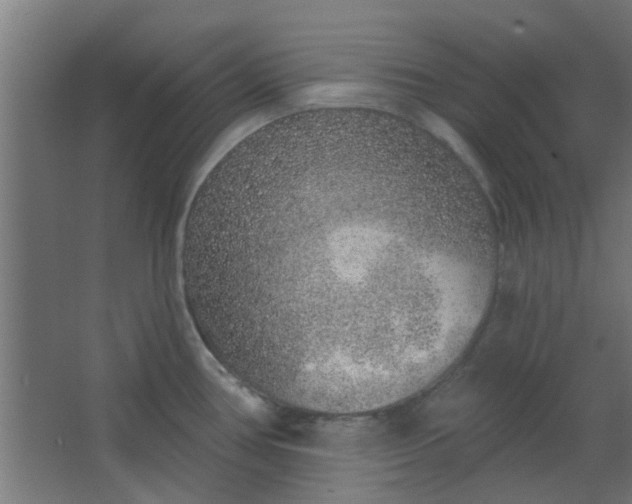 X0000063451386200602031756