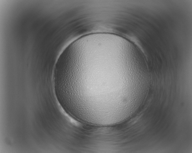 X0000063451387200602031756