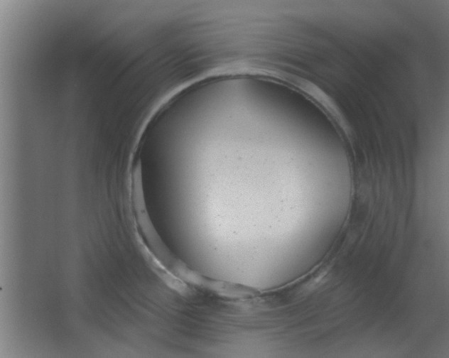 X0000063451388200602031756