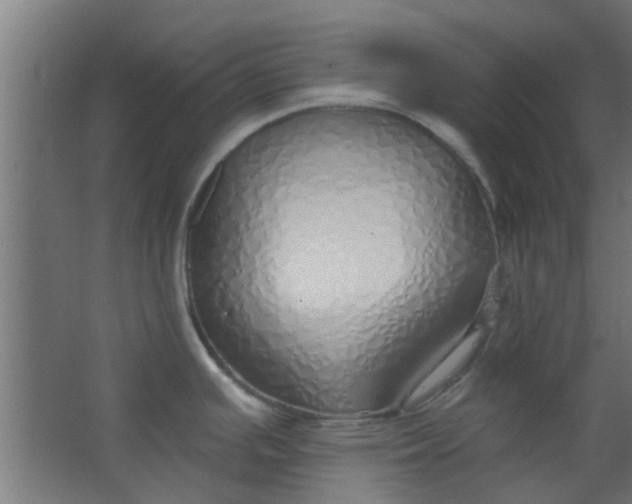 X0000063451391200602031756