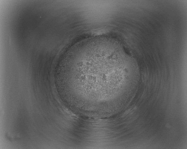 X0000063451393200602031756