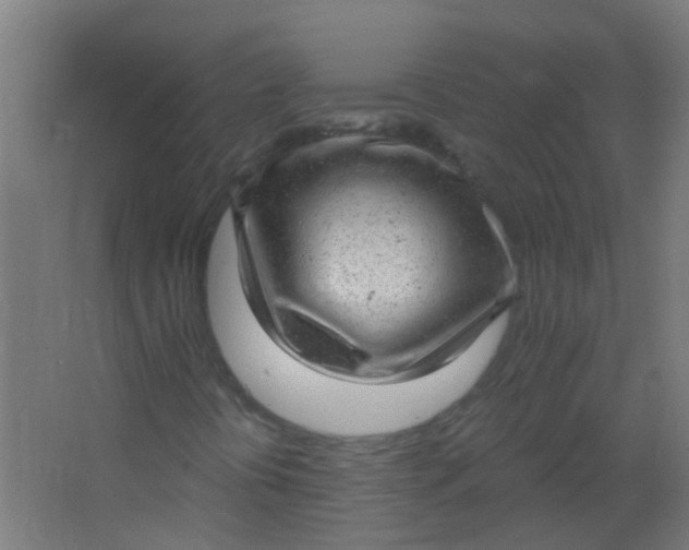 X0000063451394200602031756