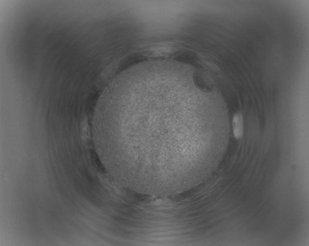 X0000063451395200602031756