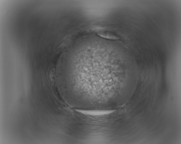 X0000063451397200602031756