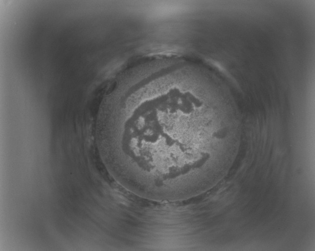 X0000063451399200602031756