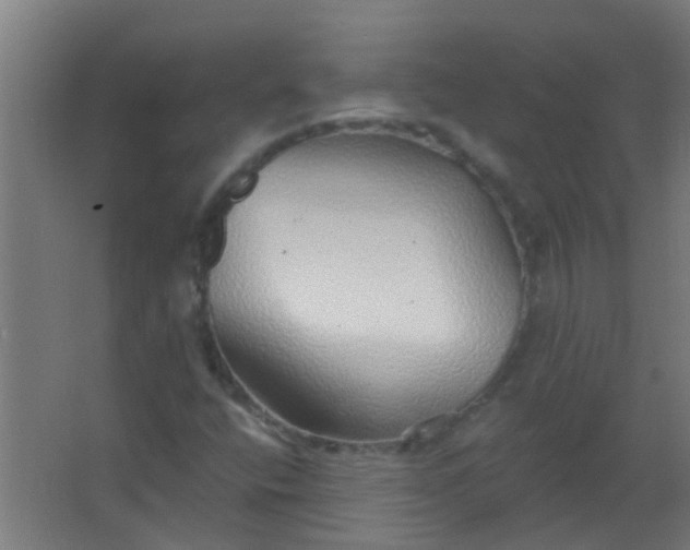 X0000063451400200602031756