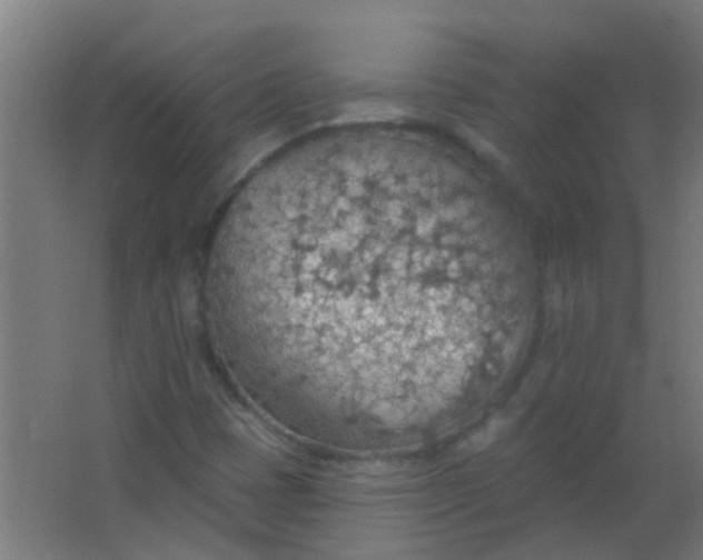 X0000063451401200602031756