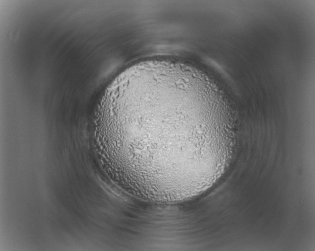 X0000063451403200602031756