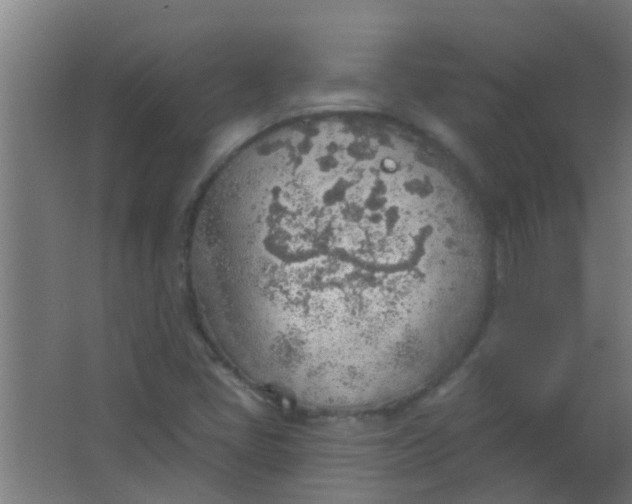 X0000063451405200602031756