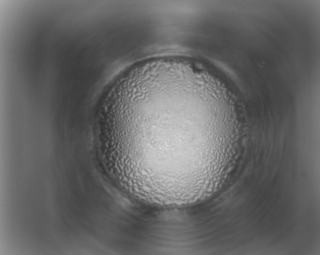 X0000063451407200602031756