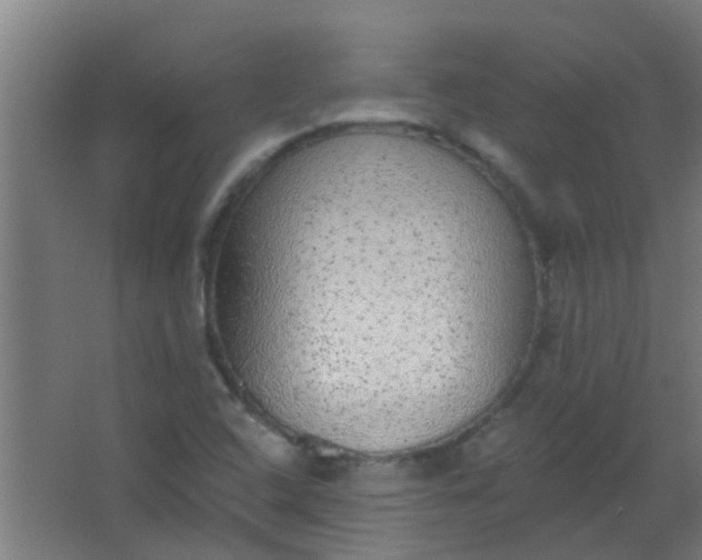 X0000063451408200602031756