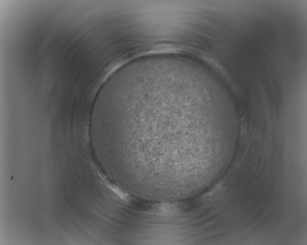 X0000063451409200602031756