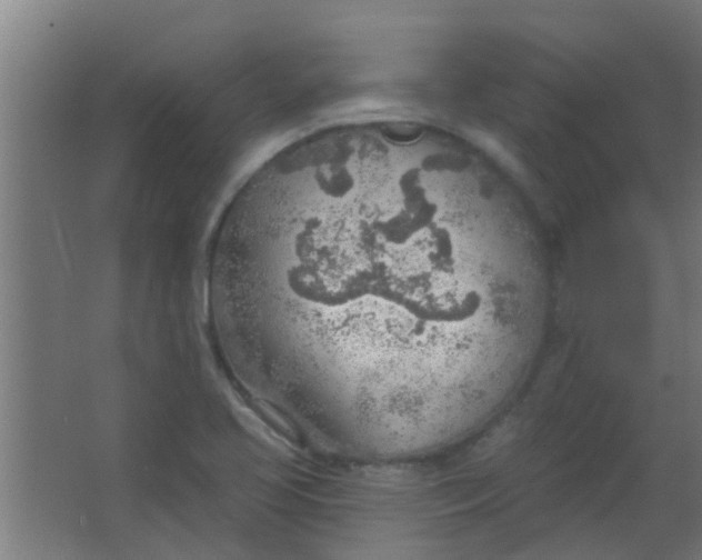 X0000063451413200602031756