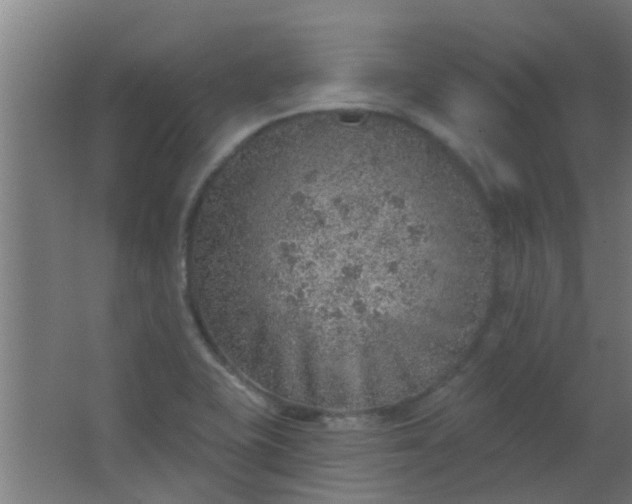 X0000063451415200602031756