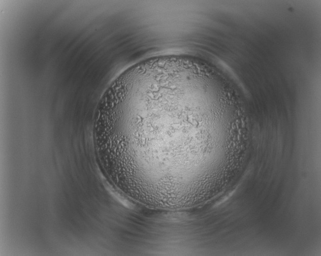 X0000063451417200602031756