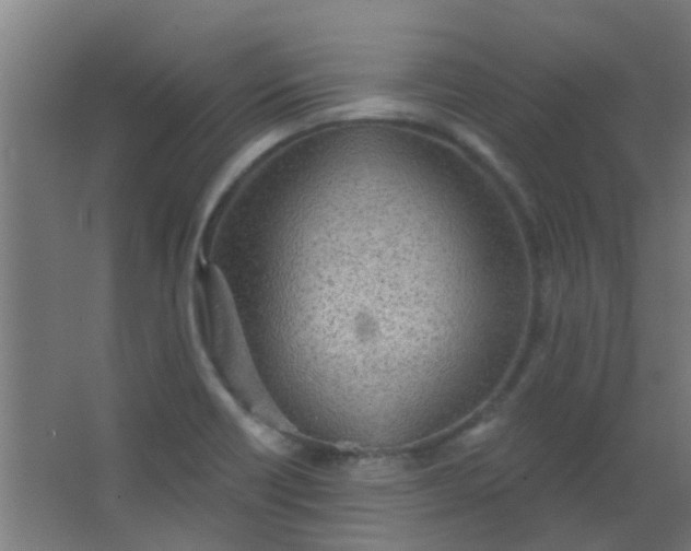 X0000063451418200602031756