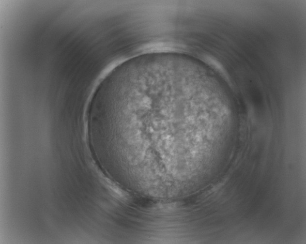 X0000063451419200602031756