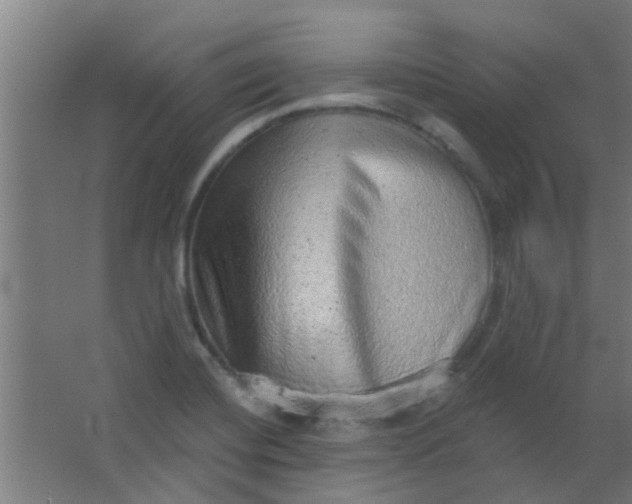 X0000063451420200602031756