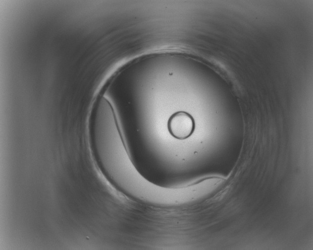 X0000063451422200602031756