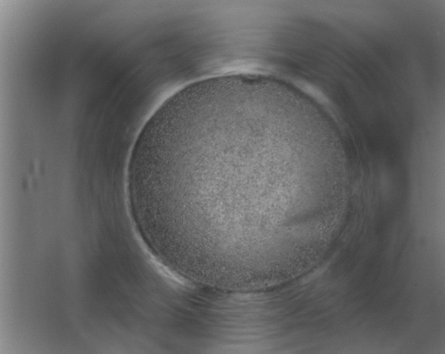 X0000063451423200602031756