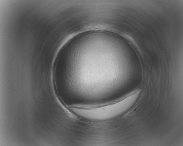 X0000063451424200602031756