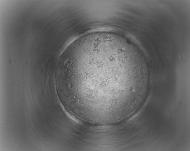 X0000063451425200602031756