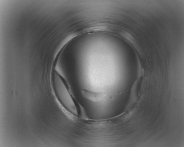 X0000063451426200602031756