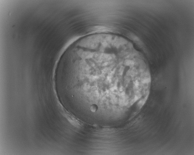 X0000063451427200602031756