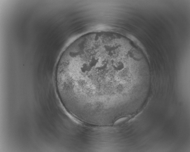 X0000063451429200602031756