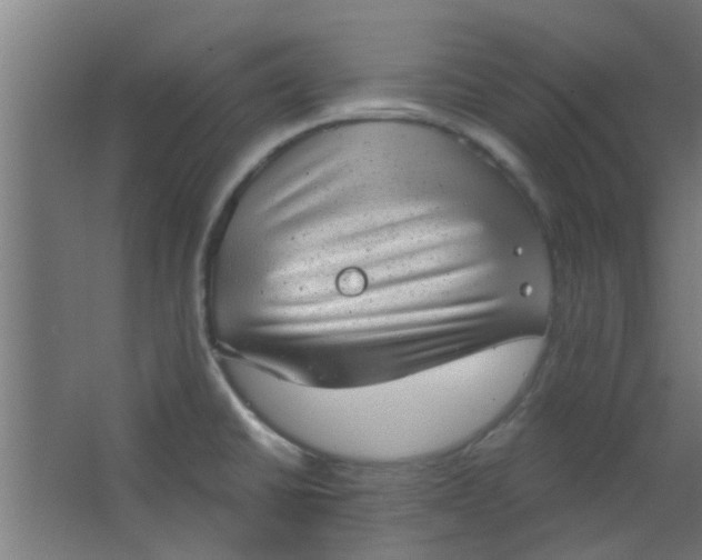 X0000063451430200602031756