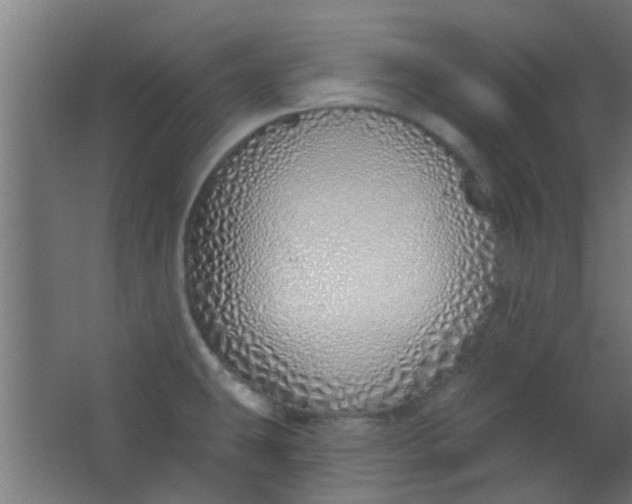 X0000063451431200602031756