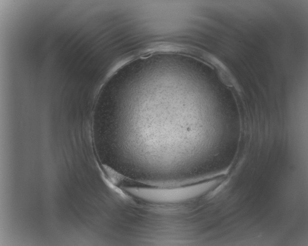 X0000063451433200602031756