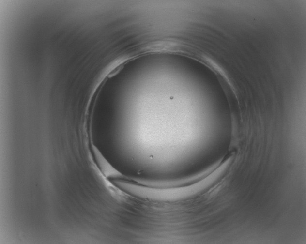 X0000063451434200602031756