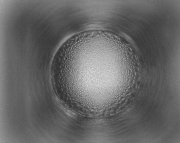 X0000063451435200602031756