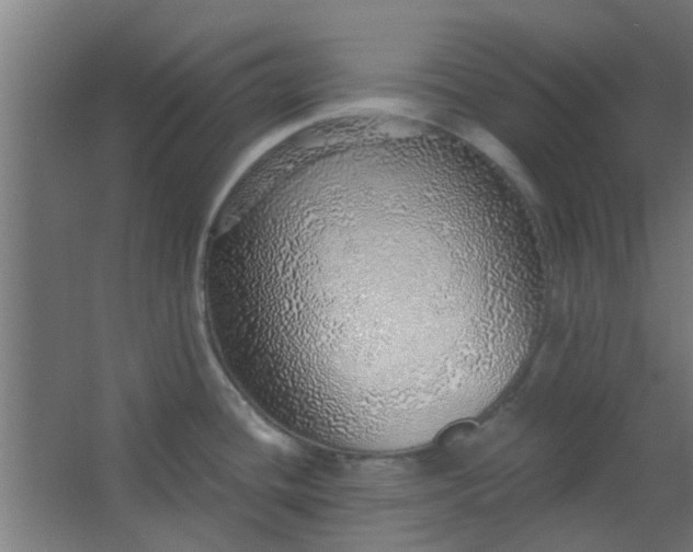 X0000063451436200602031756